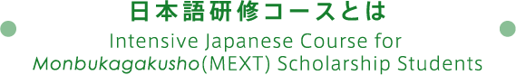 集中日本語コース（日本語研修コース）とは Intensive Japanese Course for Monbukagakusho(MEXT) Scholarship Students